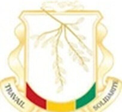 RECRUTEMENT D’UN CABINET POUR L’ELABORATION  D’UN MANUEL GUIDE SUR LA  CULTURE DE L’INTELLIGENCE ECONOMIQUE ET STRATEGIQUE EN FAVEUR DES DIPLOMATES GUINEENS.