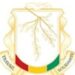 RECRUTEMENT D&rsquo;UN CABINET POUR L&rsquo;ELABORATION  D&rsquo;UN MANUEL GUIDE SUR LA  CULTURE DE L&rsquo;INTELLIGENCE ECONOMIQUE ET STRATEGIQUE EN FAVEUR DES DIPLOMATES GUINEENS.